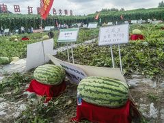 -长春农博园