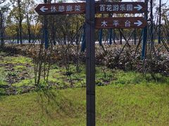 -南汇新城城市公园
