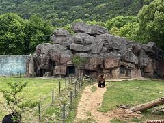 -无锡动物园·太湖欢乐园