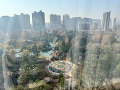 -西苑公园