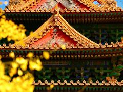 -故宫博物院(故宫)