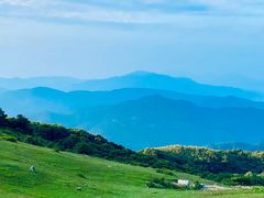 -大姆山草场