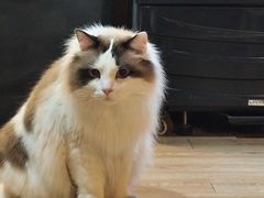 -白兔子密室(长寿路店)