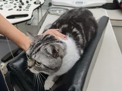 -拜鲁耶动物诊疗中心·宠家动物医院