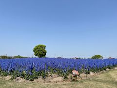 -汤记传菜(秀浦路店)