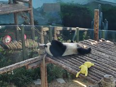 -大连森林动物园