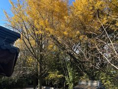 -西湖风景区十里琅珰-五云山