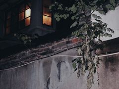 -二楼南书房