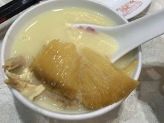鸡煲大勾翅-凤城礼记鱼翅海鲜酒家(新马路总店)