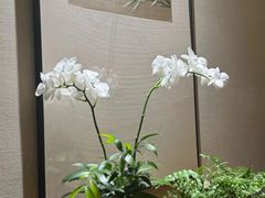 -王府茶宴(大观园总店)