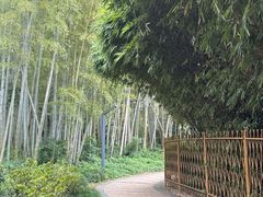 -苏州河梦清园环保主题公园