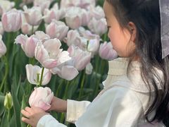 -洛阳郁金香牡丹园