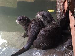 -昆明动物园