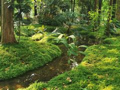 -成都市活水公园