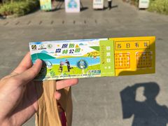 -西双版纳原始森林公园