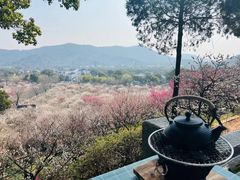 -香雪海