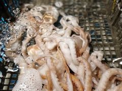 -盒马渔市(平高企业集团·平高广场店)