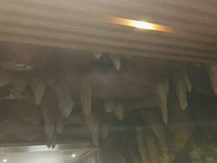 -御池园(顾村公园店)