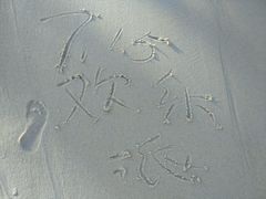 -泸州欢乐派海滩公园