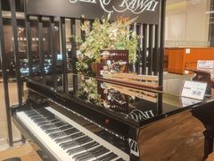 -柏斯音乐艺术中心·钢琴·吉他(上音店)