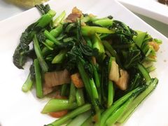 广东菜心-云中小雅
