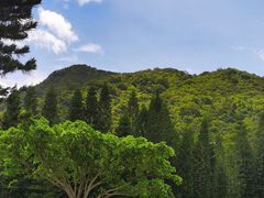 -深圳仙湖植物园