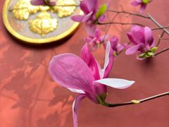 -西安市广仁寺