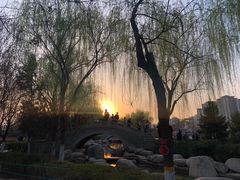 -西安青龙寺遗址景区
