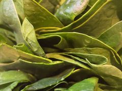 -南门四季铜锅涮肉(大屯·北苑店)