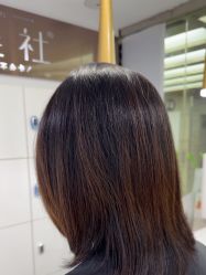 -镁连社·美联社