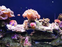 -石家庄极地海洋世界