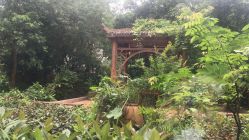 -宝生月子中心(独栋园林·福田店)