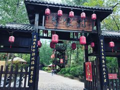 -合肥滨湖国家森林公园