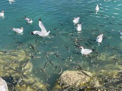 -青海湖二郎剑景区