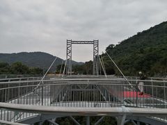 -呀诺达热带雨林