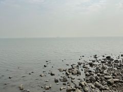 -深圳湾公园(南山区)