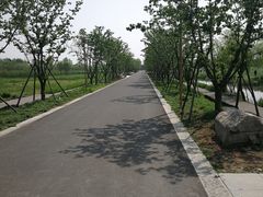 -长田漾湿地公园