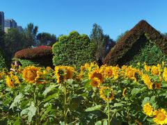 -长白岛森林公园