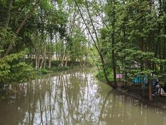 -桤木河湿地公园