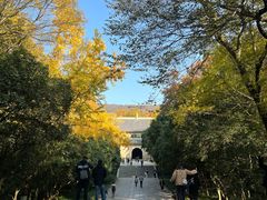 -灵谷景区