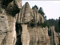 -梦幻奥陶纪景区