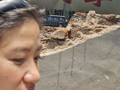 -坛子李地摊烤肉(罗斯福店)