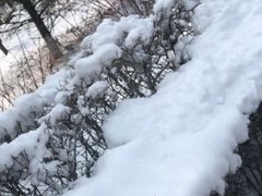 -高尔山公园