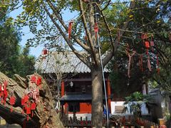 -涂山风景区