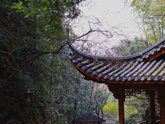 -藏龙百瀑风景区