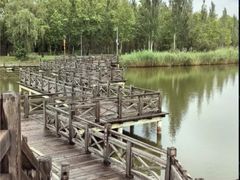 -野鸭湖国家湿地公园