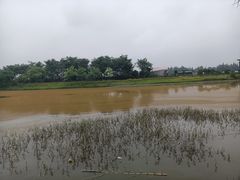 -金谷域澳洲庄园