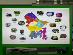 -宁波国际会展中心