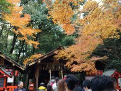 -野宫神社