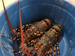 -真浪花园海鲜餐馆